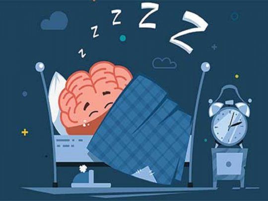 cerebro sueños.jpg