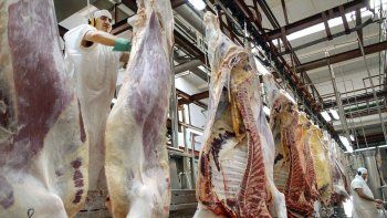 Faltando sólo dos meses para finalizar el año, es posible proyectar un volumen de exportaciones anuales superior a las 800 mil toneladas,&nbsp;indicó el Rosgan.