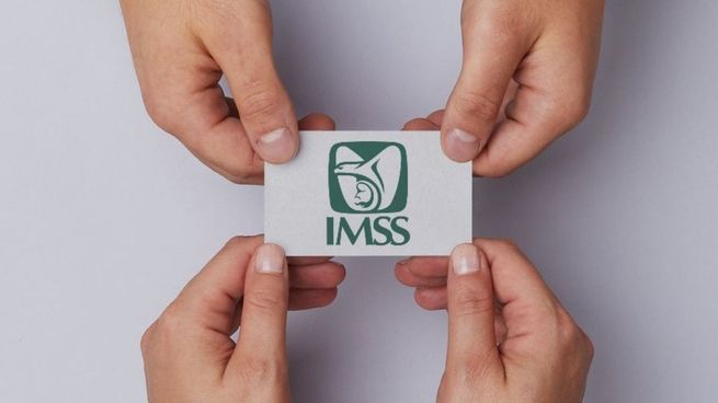 Checa lo que tiene para decir el IMSS.&nbsp;