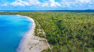 Wyndham eligió Miches en República Dominicana para instalar uno de sus nuevos hoteles, ubicado junto a las aguas turquesas de Playa Esmeralda.