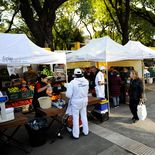 Buepp cuenta con distintos descuentos para el rubro de gastronomía y alimentos. Buepp cuenta con distintos descuentos para el rubro de gastronomía y alimentos.