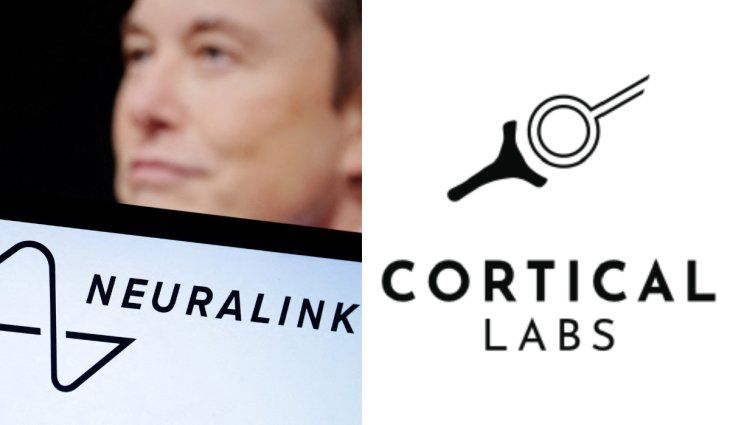 Neuralink y Cortical Labs, son dos empresas que ya impulsaron investigaciones y desarrollos que fusionan la IA con la biología.