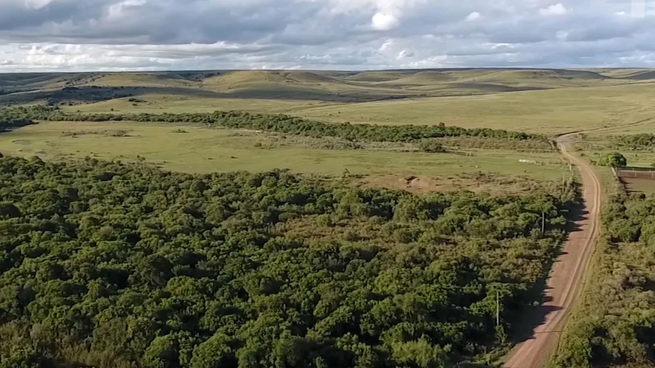 El gobierno destinará 15 millones de dólares extra para la reparación de caminos rurales en Uruguay.