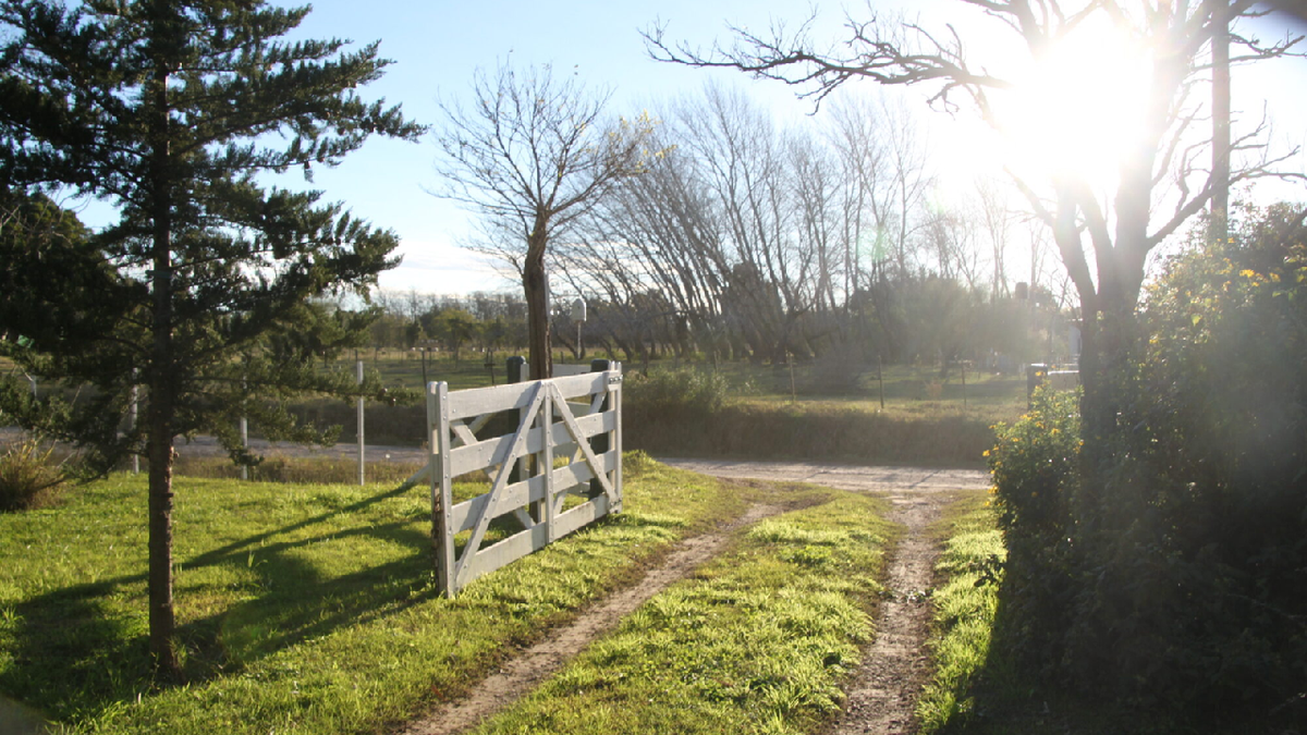 The perfect getaway for carnival: it is a few kilometers from Buenos Aires and offers a unique atmosphere to clear the routine mind