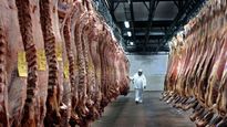 Preocupa la baja de la faena en el sector frigorífico.&nbsp;