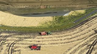 El arroz uruguayo se destacó entre las exportaciones del Mercosur a Europa. El arroz uruguayo se destacó entre las exportaciones del Mercosur a Europa.