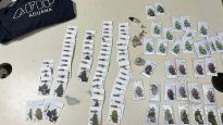 tour de compras a chile: un argentino quiso pasar 1600 semillas de marihuana