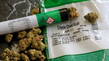 Organizaciones cuestionaron la baja de permisos del REPROCANN.