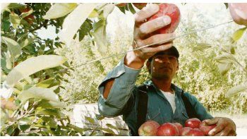 De mal en peor. En el sector de peras y manzanas la situación continúa muy complicada, con rentabilidad nula y productores que abandonan la actividad.