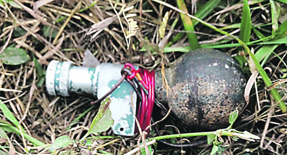 Pánico en Panamericana por el hallazgo de una granada (foto 1)