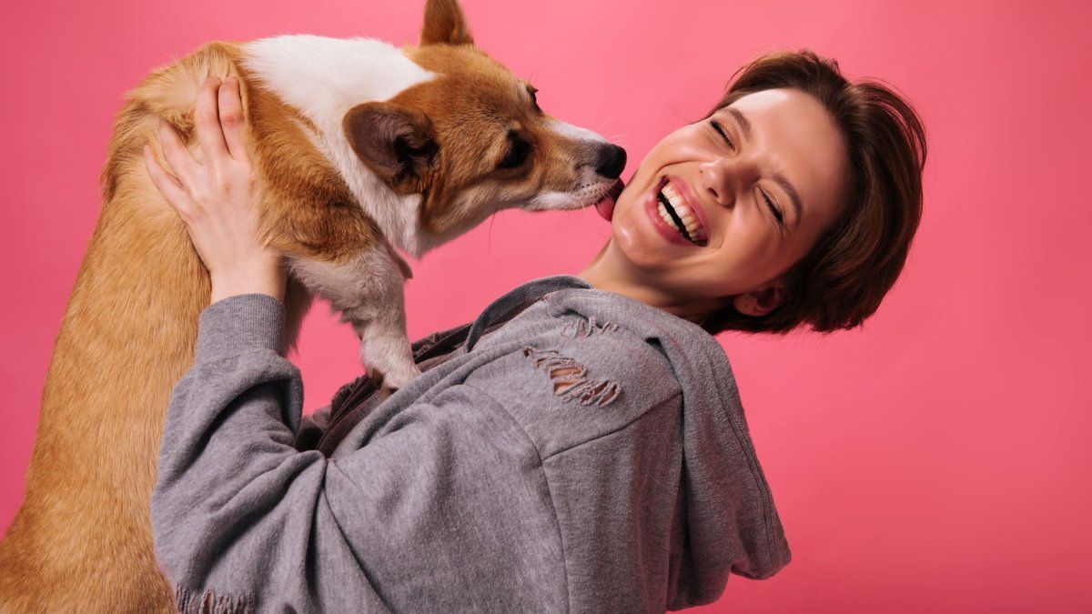 World Dog Day: How to take care of them to live more and better
