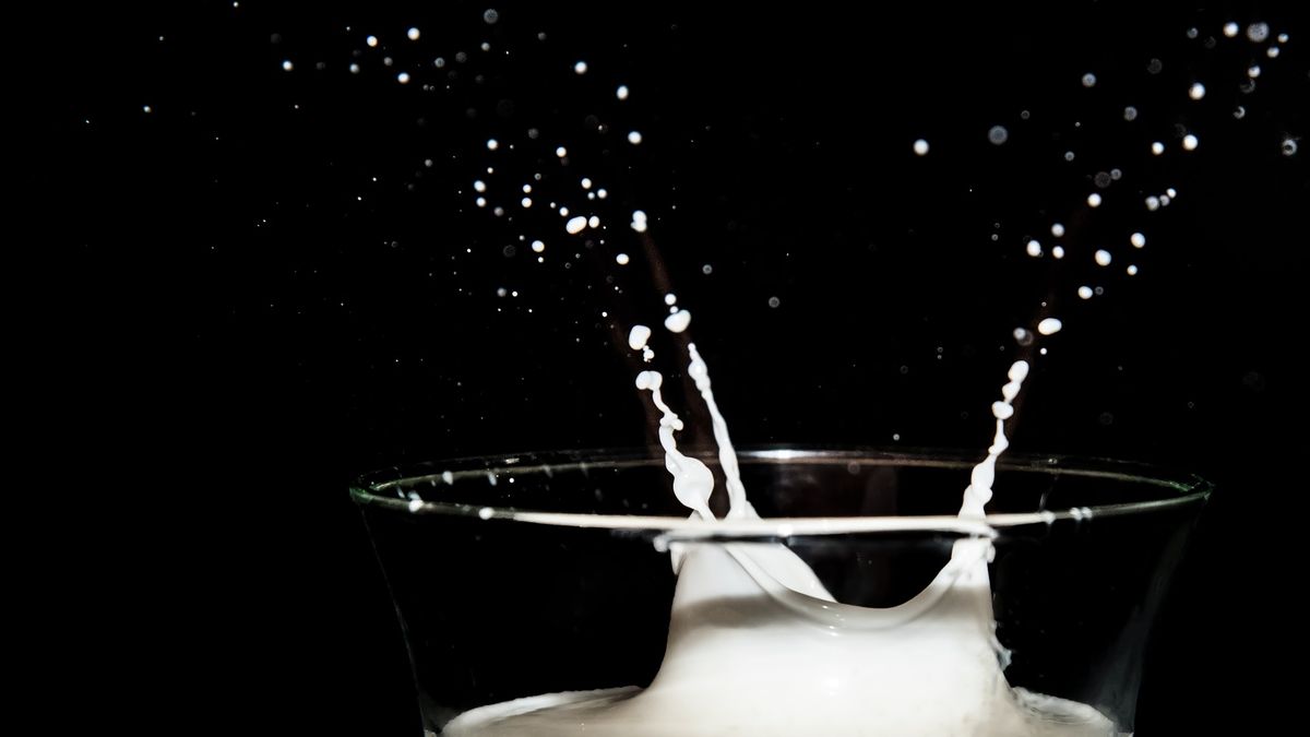 Milk, a valuable food on our tables Milk, a valuable food on our tables