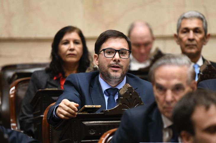 Pese a ser del PRO, Agost Carreño integra el bloque que conduce Miguel Ángel Pichetto. Pese a ser del PRO, Agost Carreño integra el bloque que conduce Miguel Ángel Pichetto.