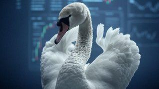 Aunque los cisnes grises no tienen la certeza de materializarse, representan advertencias importantes para los inversores y los responsables de la política económica.&nbsp;