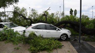 El temporal dejó destrozos en la Ciudad Autónoma de Buenos Aires.