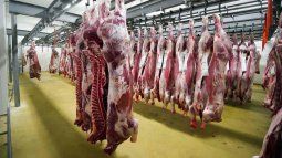 El Gobierno fijó valores para evitar subfacturación en la exportación de carne.