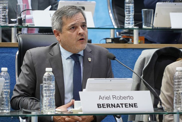El legislador provincial Ariel Bernatene es el nuevo presidente de la UCR de Río Negro.  