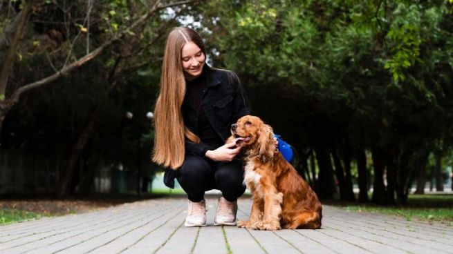 Nuestros amigos precisan mucho cuidado.&nbsp;