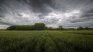 New rains in large productive areas once again slow down the thick harvest due to lack of soil. New rains in large productive areas once again slow down the thick harvest due to lack of soil.