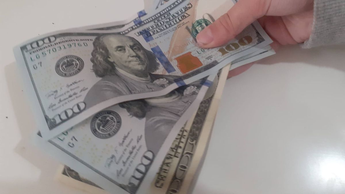 Javier Milei recognized that the DNU measures are pre-dollarization