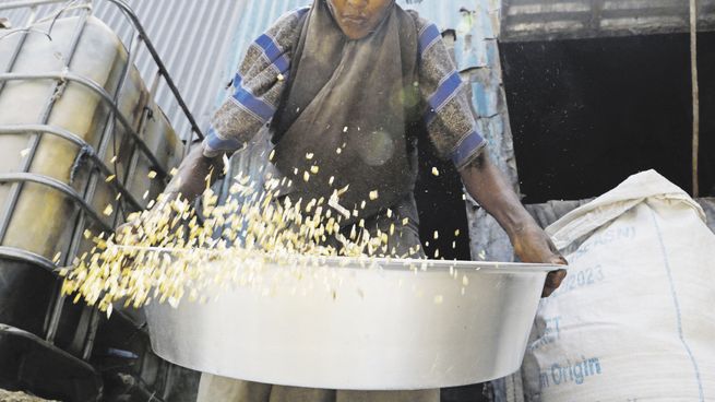 DESTINO. Un comerciante somalí avienta trigo importado de Ucrania en el mercado al aire libre de Bakara en Mogadishu.