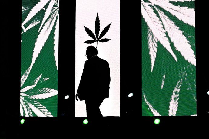 Matáis Kulfas desea impulsar la industria del cannabis 