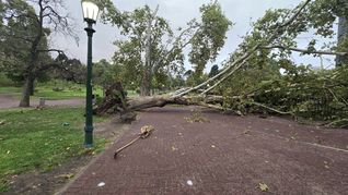 La tormenta avanzó desde el oeste con lluvias intensas y ráfagas de viento que alcanzaron los 80 km/h.&nbsp;