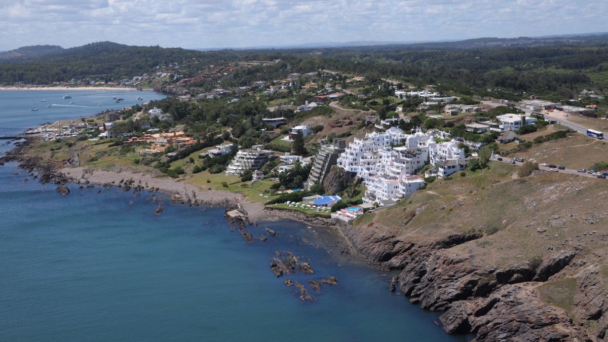 Ambiente received proposals to buy plots in Punta Ballena