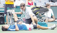 Con carácter, Del Potro sigue sorteando obstáculos (foto 1)