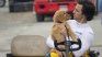 Una conmovedora historia sobre un perro y la vida de su dueño.