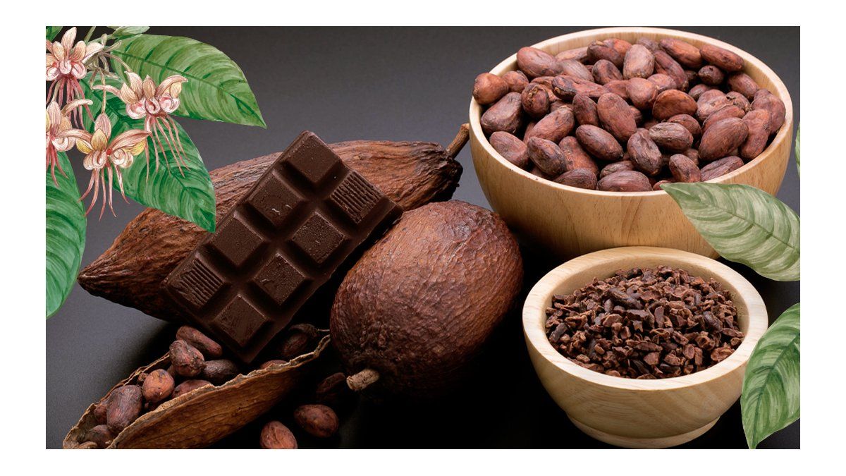 Bank of America predicts that the price of cocoa will continue to rise and recommends investing