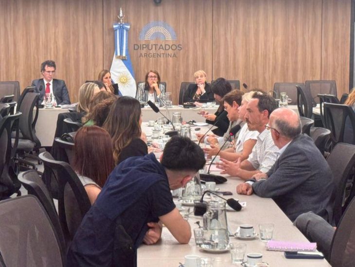 Directivos del Hospital Italiano y familiares de víctimas se encontraron en la Cámara de Diputados. Directivos del Hospital Italiano y familiares de víctimas se encontraron en la Cámara de Diputados.