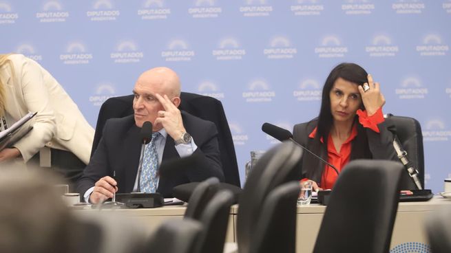 José Luis Espert, encargado de presidir la comisión que debate el Presupuesto 2026.