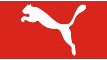 No es un puma, es una pantera