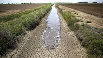 Entre Ríos registra una sequía récord que afecta fuertemente a su ganadería y agricultura