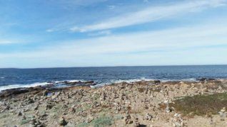 El hombre había salido a bordo de un vehículo color amarillo y no había regresado a la orilla, lo que activó una alerta a las autoridades. El hombre había salido a bordo de un vehículo color amarillo y no había regresado a la orilla, lo que activó una alerta a las autoridades.