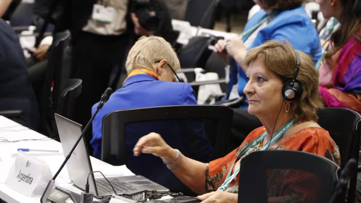 The Government against COP16: “Argentina is not going to carry out an exchange by nature because it generates more inflation”