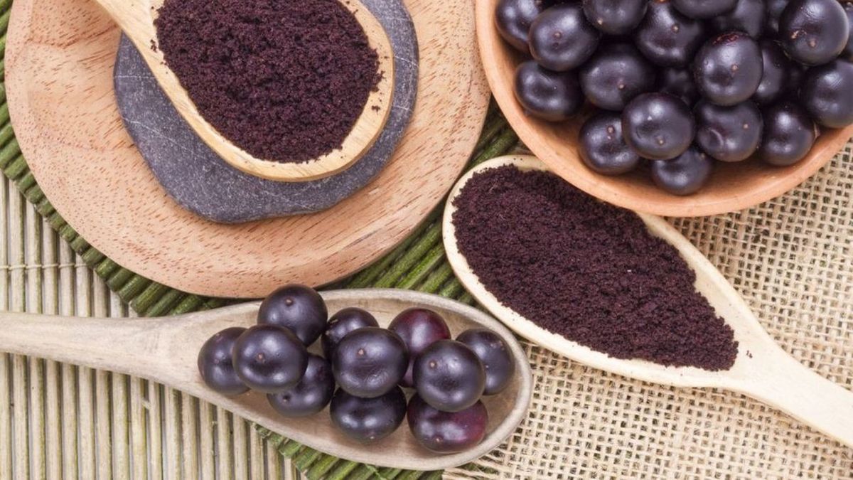 The açaí boom, a bioeconomy that threatens the Amazon