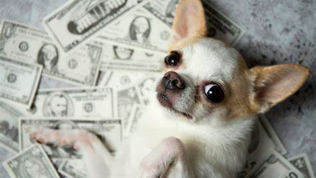 This is real?  A woman decided to leave her inheritance to her pets, because her children ignored her.