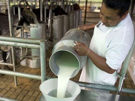 Industria láctea lecheros Atilra CIL.jpg