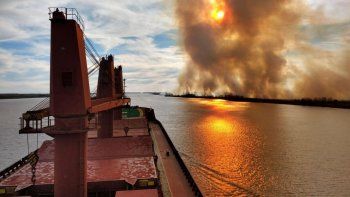 Los fuegos en el Delta del Paraná provocaron la pérdida de flora y fauna y pusieron en peligro la vida y las viviendas de los lugareños