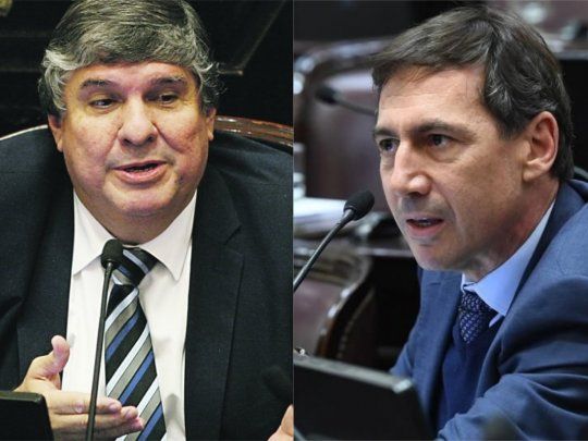 José Mayans y Luis Naidenoff se cruzaron enel Senado por la situación de Formosa.&nbsp;