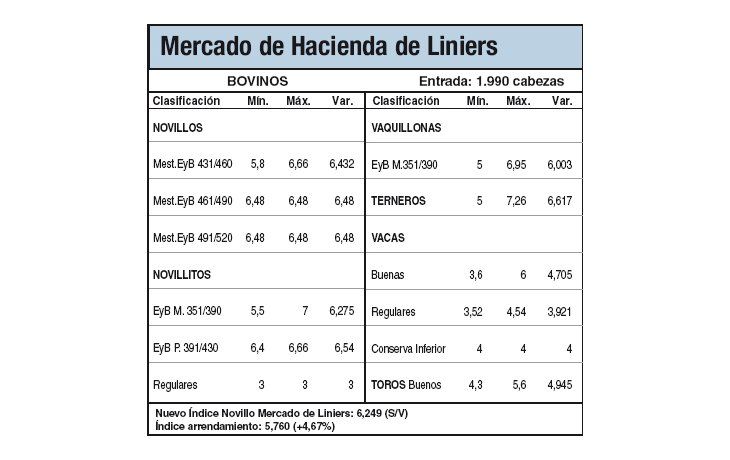 Escaso ingreso a Liniers por retención de vacunos