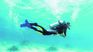 Puerto Madryn invites you to an underwater adventure