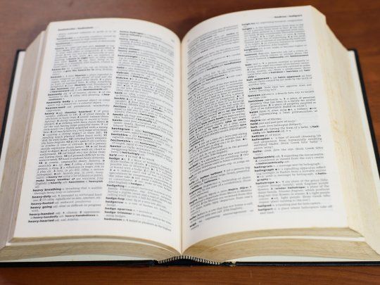 Diccionario glosario