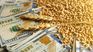 According to the projection of the Stock Exchange, wheat would give more than US$2,000 million to the new management. According to the projection of the Stock Exchange, wheat would give more than US$2,000 million to the new management.