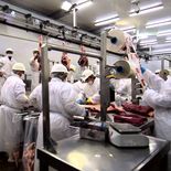 Los precios de las exportaciones industriales retrocedieron, pese al impulso de la carne. Los precios de las exportaciones industriales retrocedieron, pese al impulso de la carne.