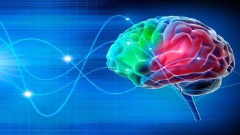 ¿cuanto usamos realmente nuestro cerebro?