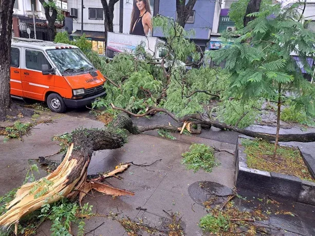 Por el temporal, se registraron árboles y postes de luz caídos, además de techos volados.