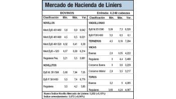 Subas del 5% en Liniers por la limitada oferta